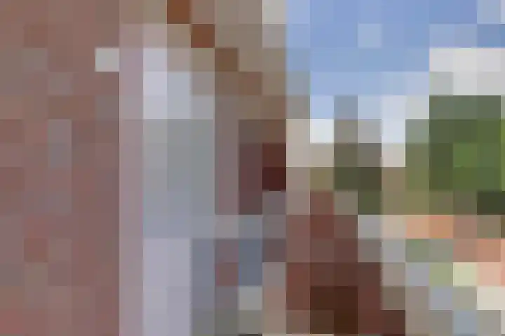 Beukenlaan 4 h Sterksel thumbnail 26