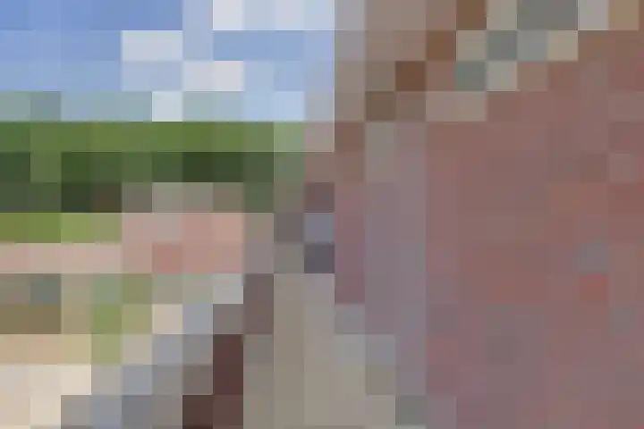 Beukenlaan 4 h Sterksel thumbnail 27