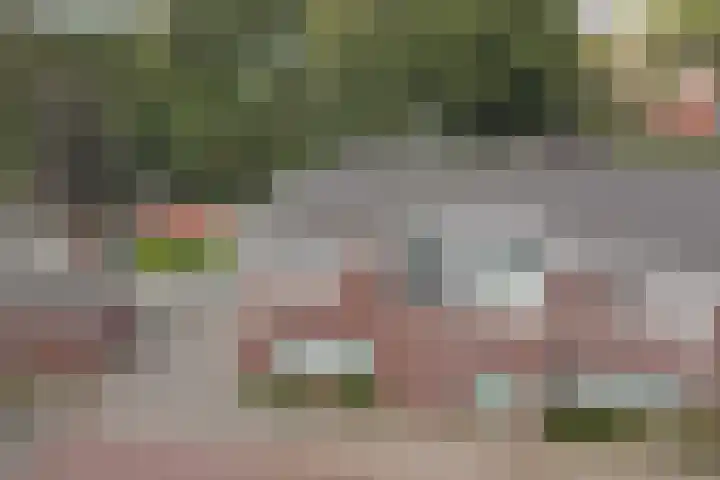 Beukenlaan 4 h Sterksel thumbnail 31