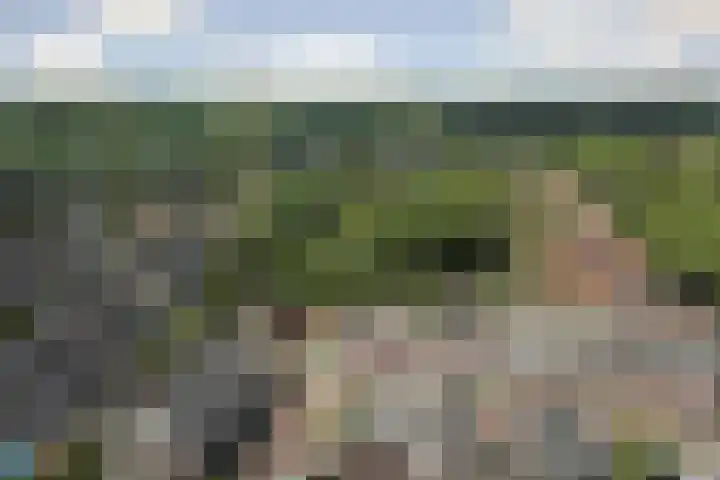 Beukenlaan 4 h Sterksel thumbnail 32