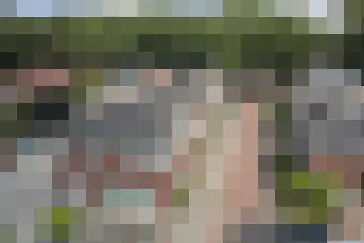 Beukenlaan 4 h Sterksel thumbnail 33