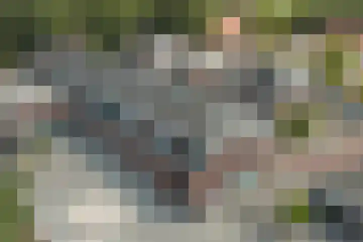 Beukenlaan 4 h Sterksel thumbnail 34