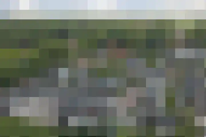 Beukenlaan 4 h Sterksel thumbnail 36