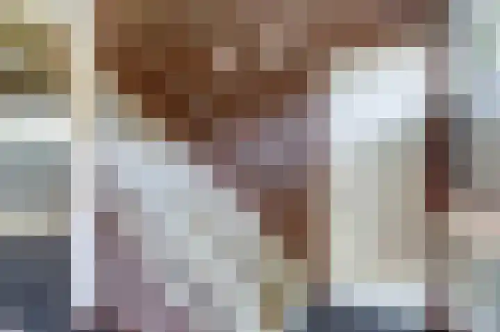 Beukenlaan 4 h Sterksel thumbnail 4