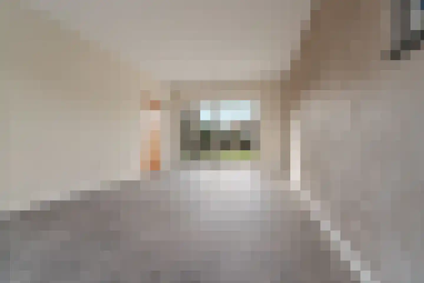 Beukenlaan 4 Heijen thumbnail 11