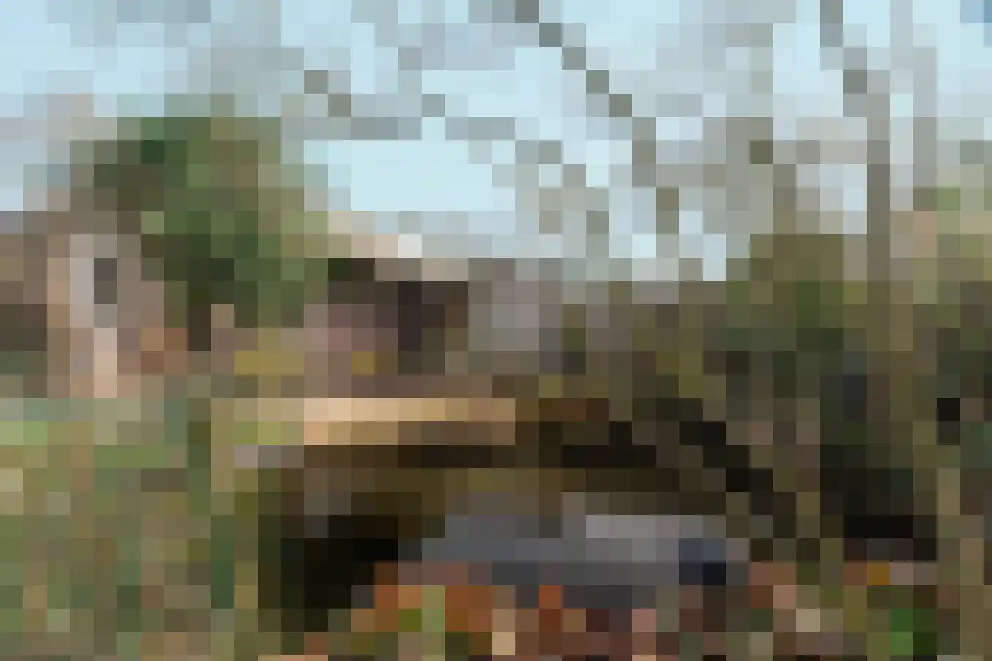 Beukenlaan 4 Heijen thumbnail 39