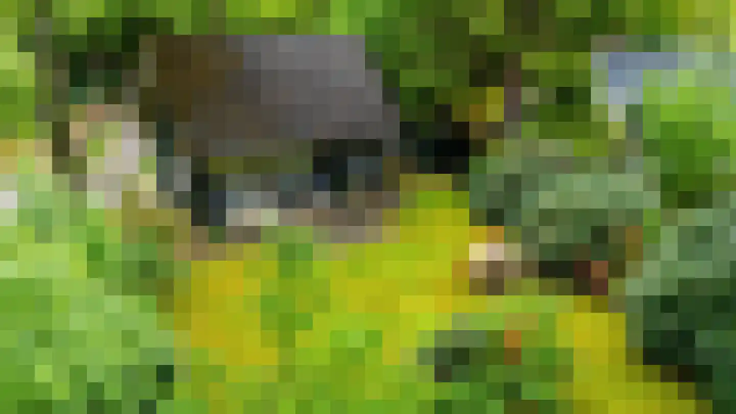 Beukenlaan 4 Norg