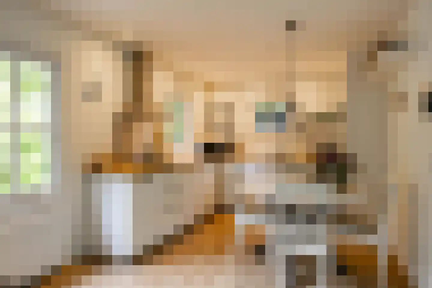 Beukenlaan 4 Norg thumbnail 10