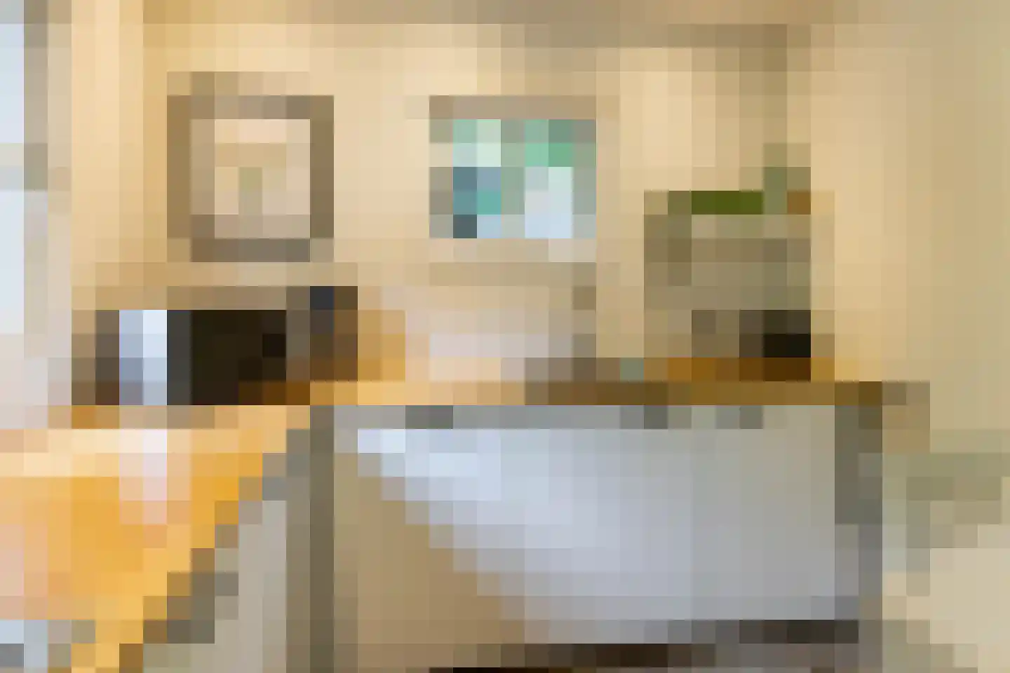 Beukenlaan 4 Norg thumbnail 12