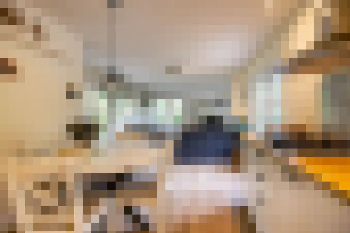 Beukenlaan 4 Norg thumbnail 14