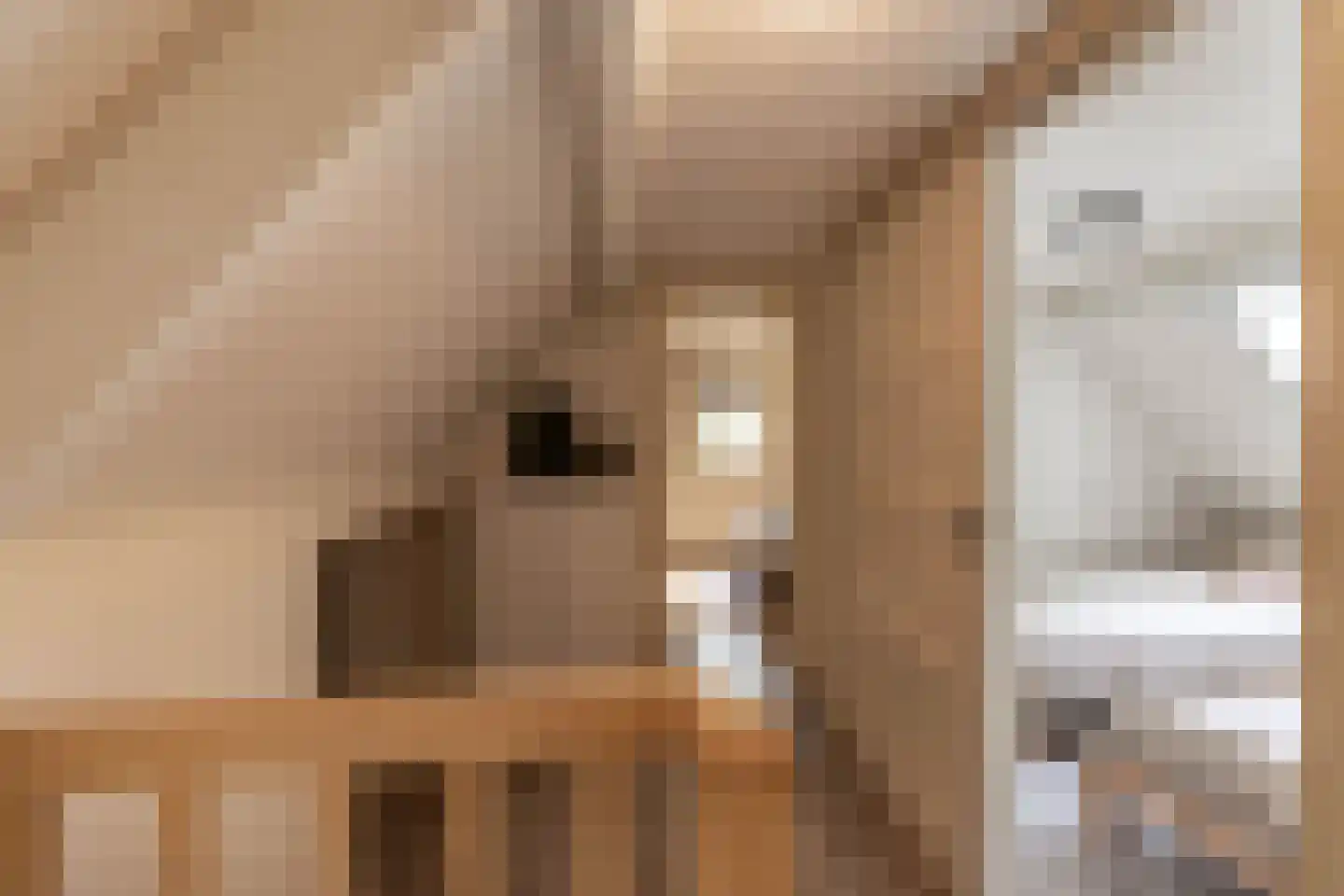Beukenlaan 4 Norg thumbnail 16
