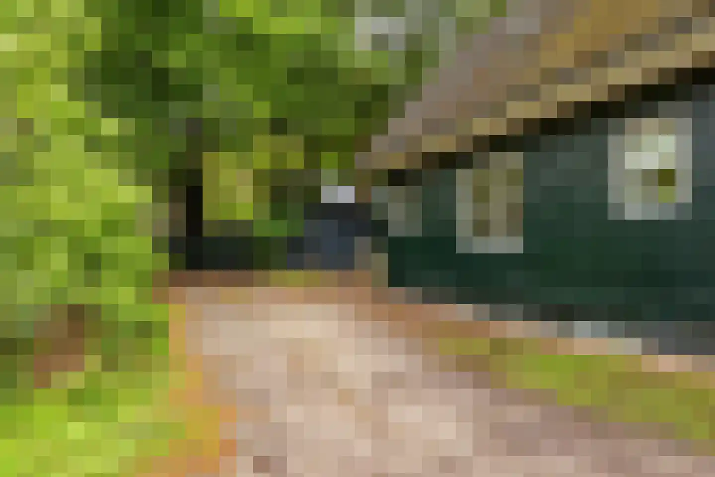 Beukenlaan 4 Norg foto 2