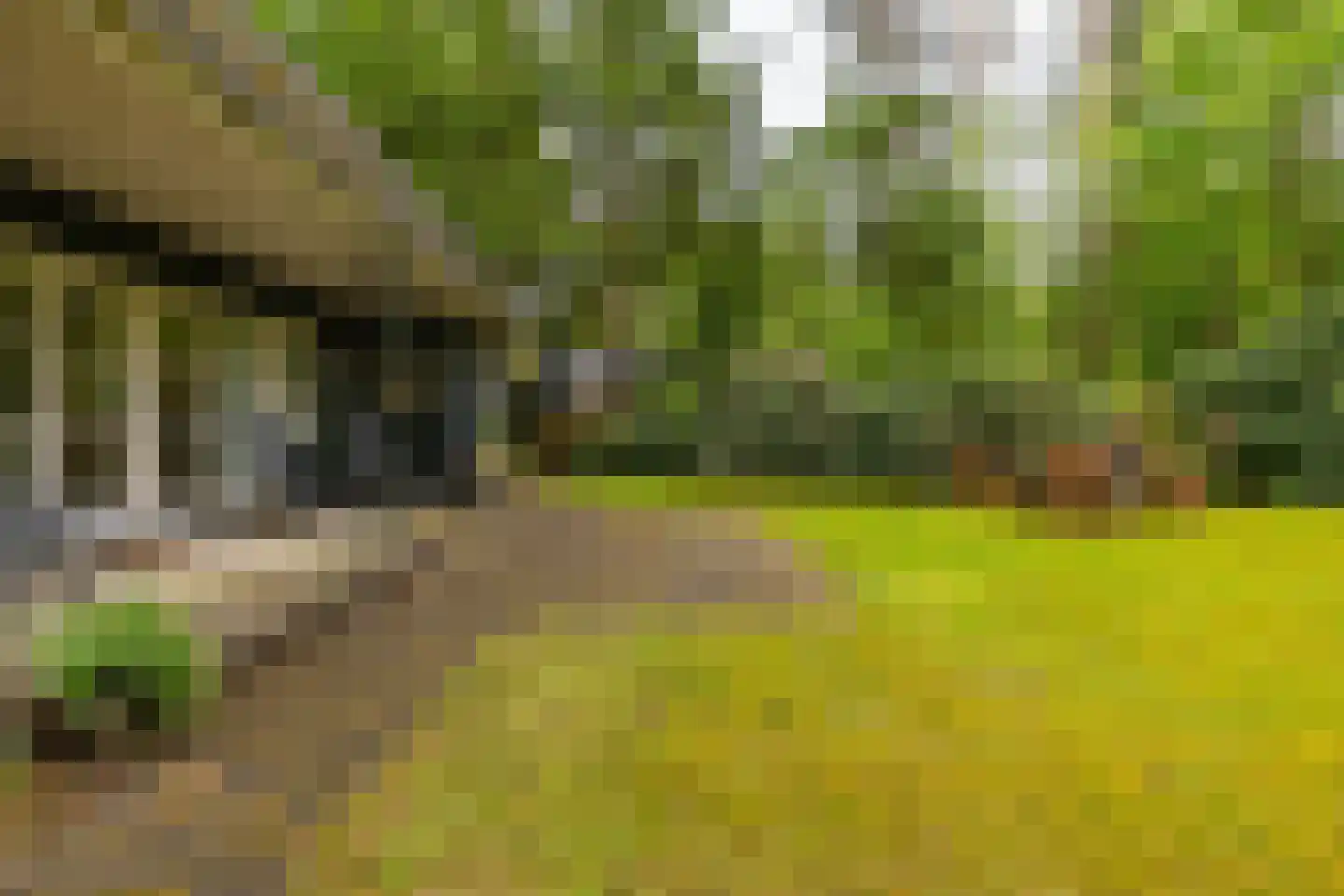 Beukenlaan 4 Norg thumbnail 24