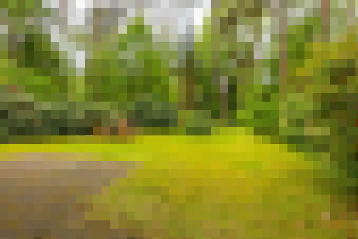 Beukenlaan 4 Norg thumbnail 25