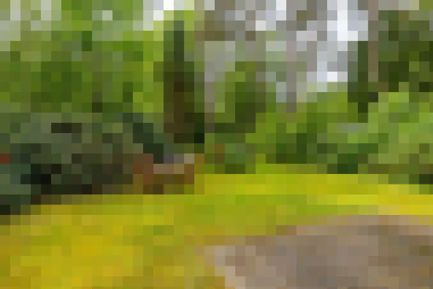 Beukenlaan 4 Norg thumbnail 26