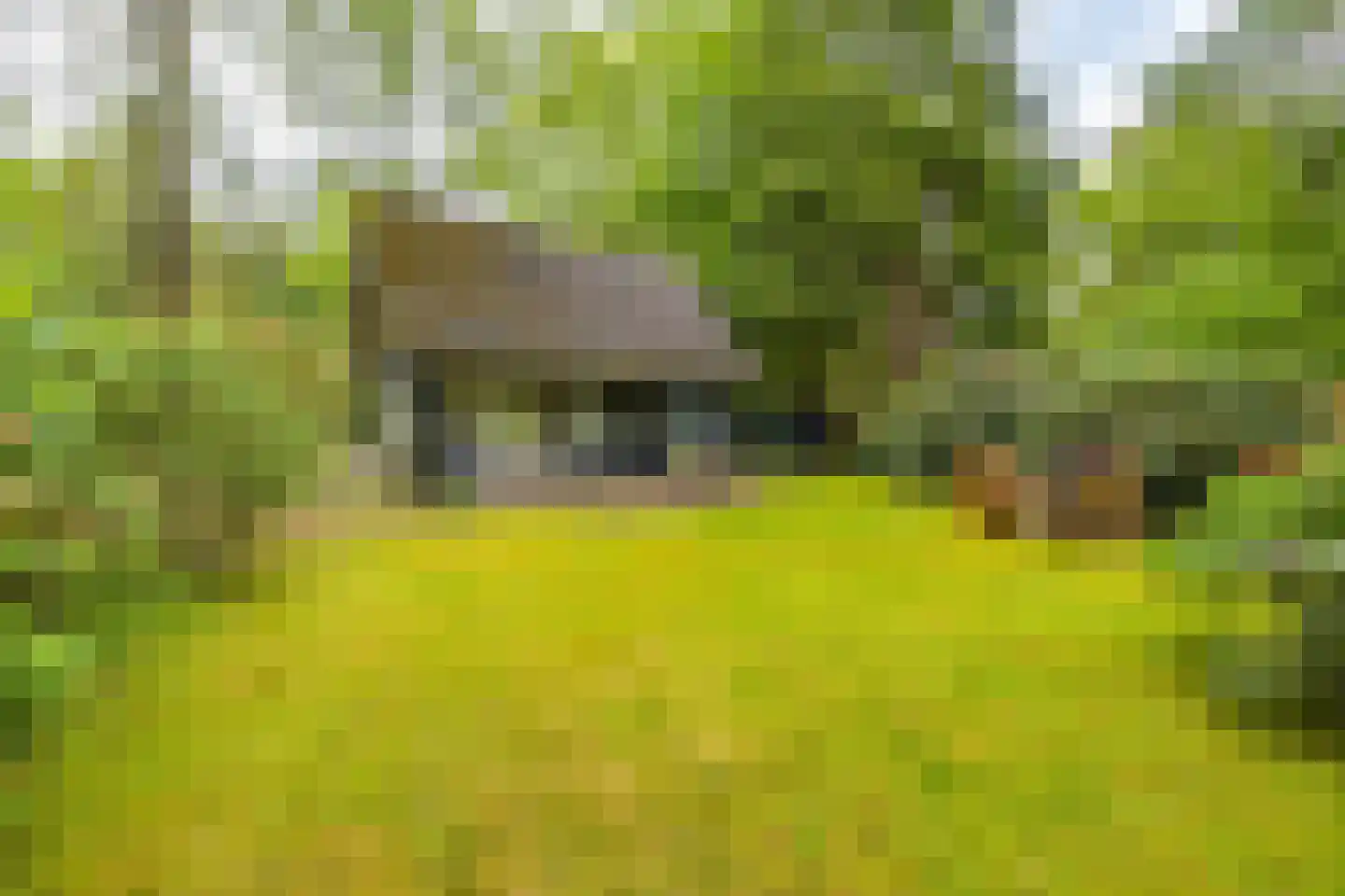 Beukenlaan 4 Norg thumbnail 27