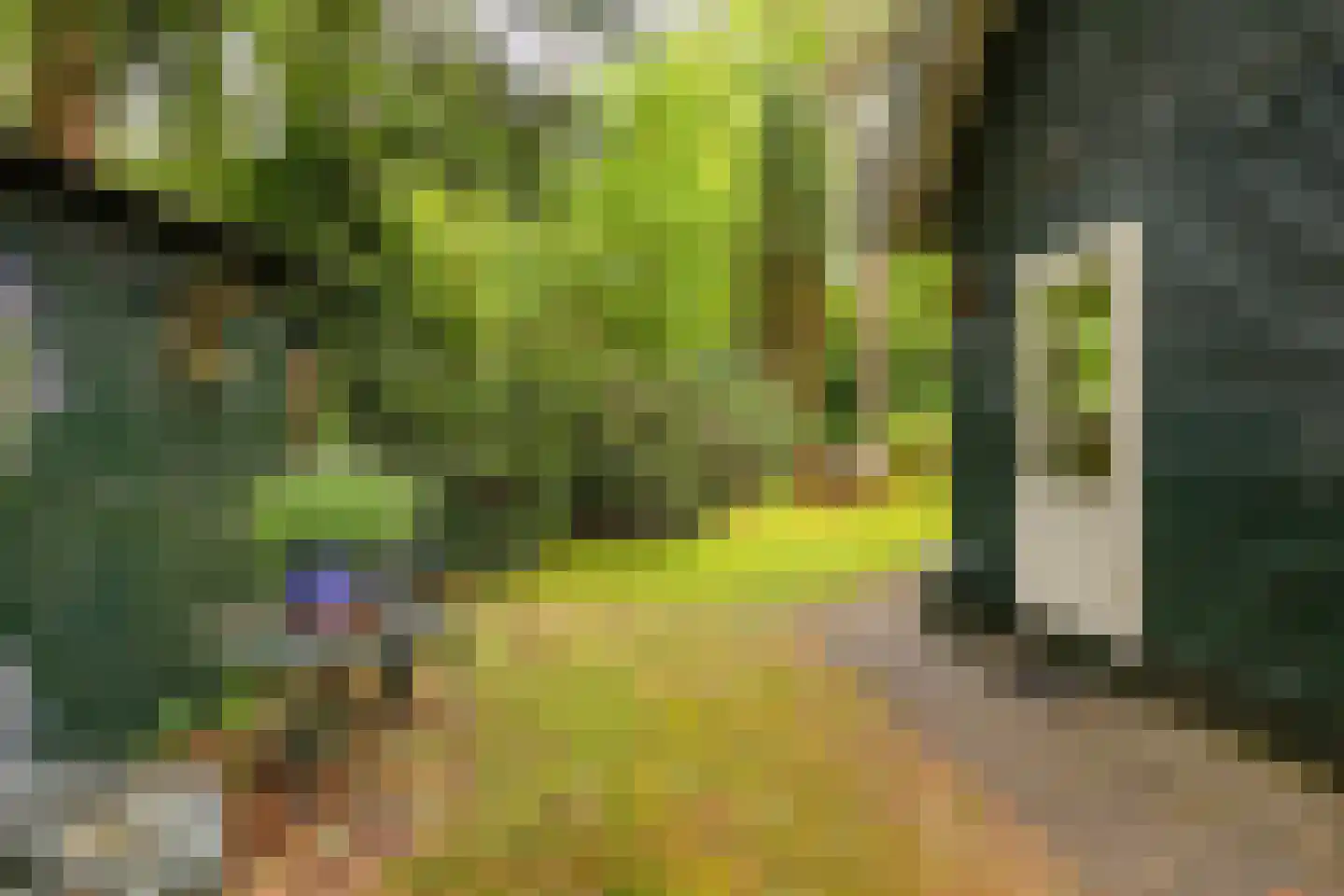 Beukenlaan 4 Norg foto 3