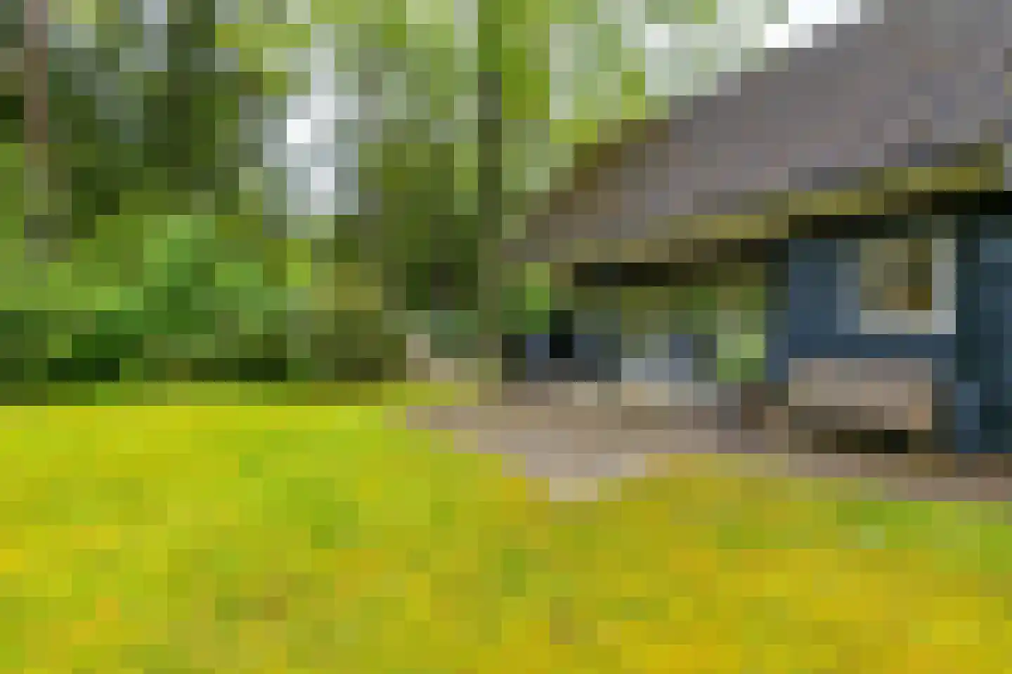 Beukenlaan 4 Norg thumbnail 30