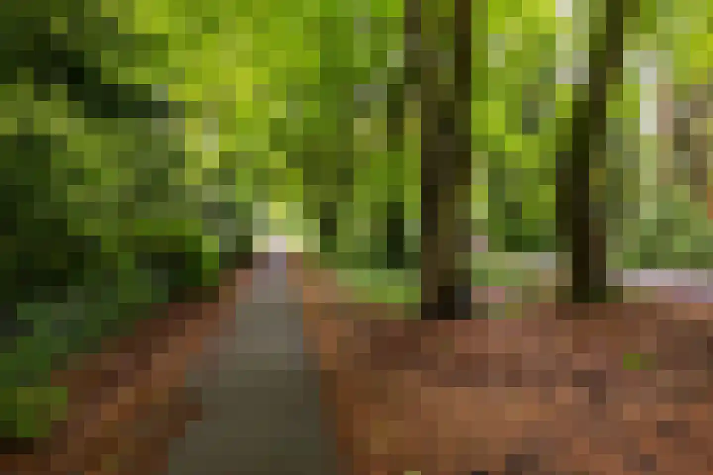 Beukenlaan 4 Norg thumbnail 33