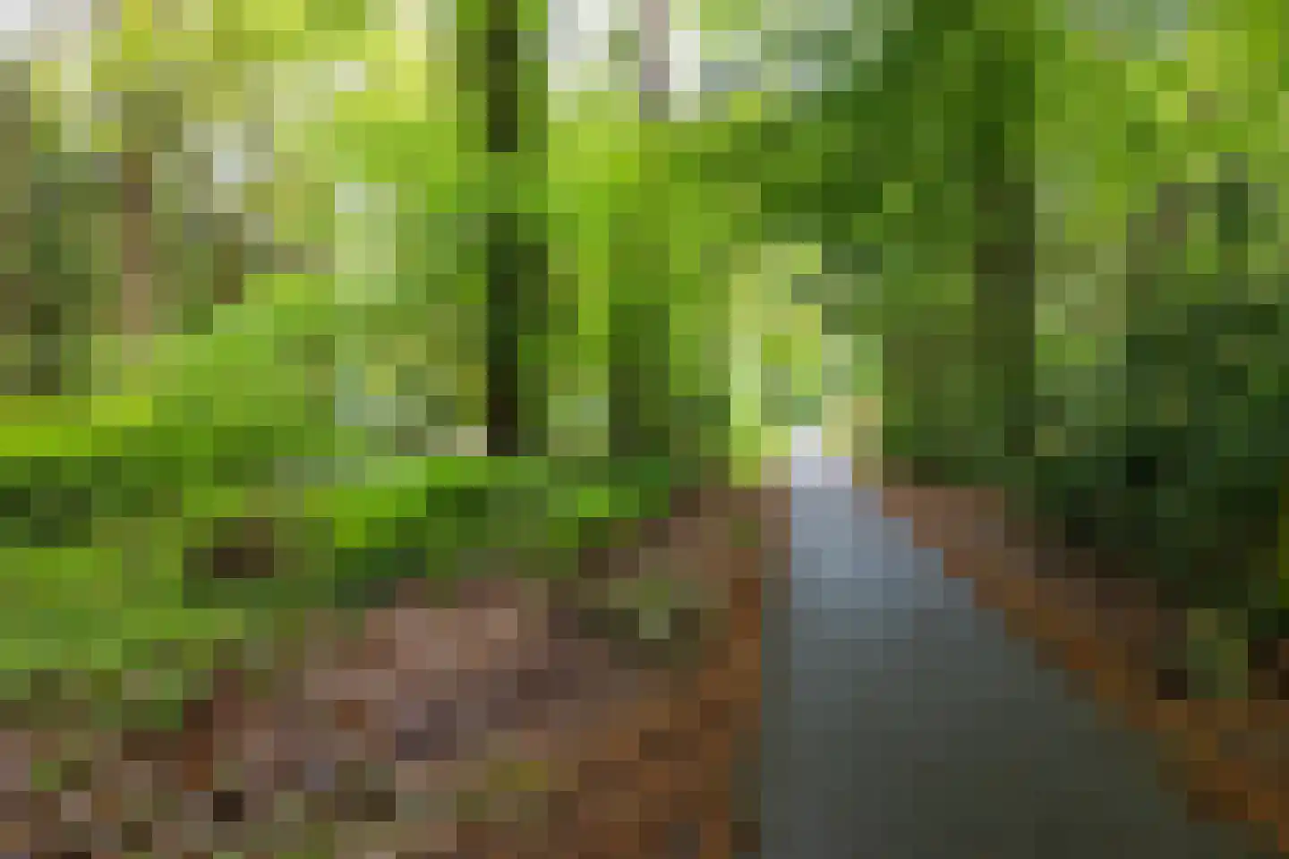Beukenlaan 4 Norg thumbnail 34