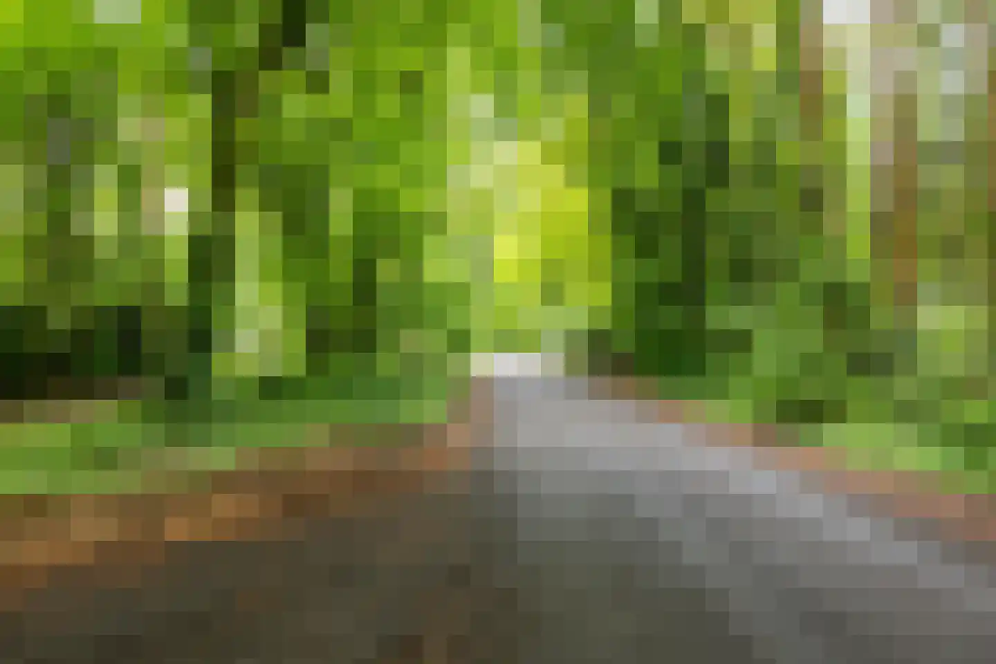 Beukenlaan 4 Norg thumbnail 35