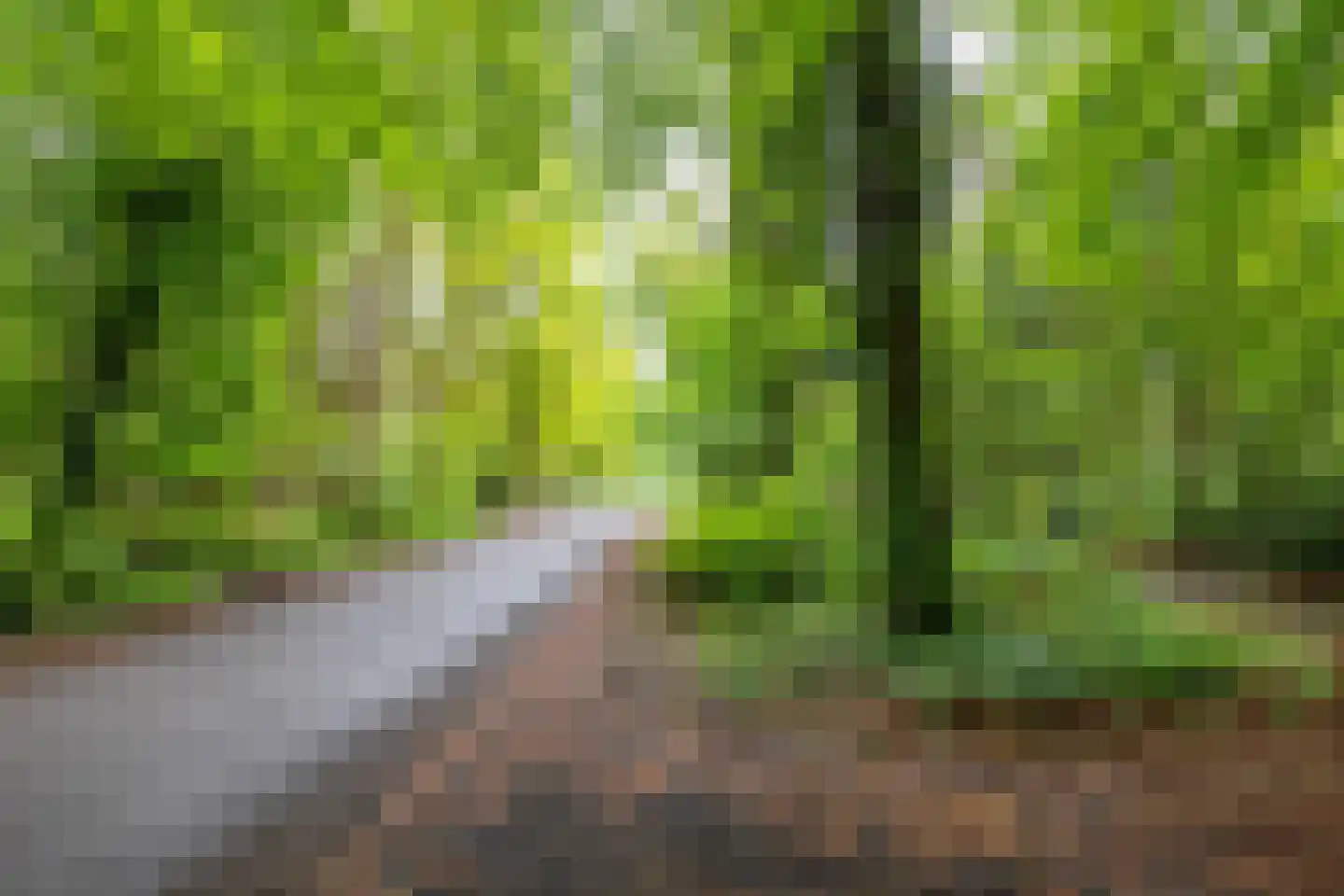 Beukenlaan 4 Norg thumbnail 36