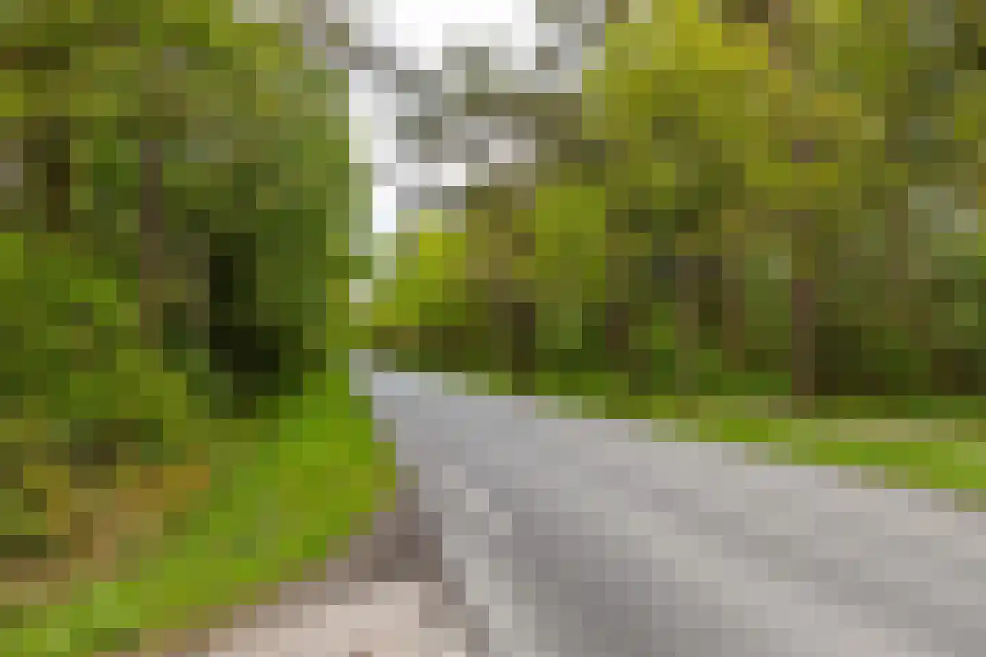 Beukenlaan 4 Norg thumbnail 37
