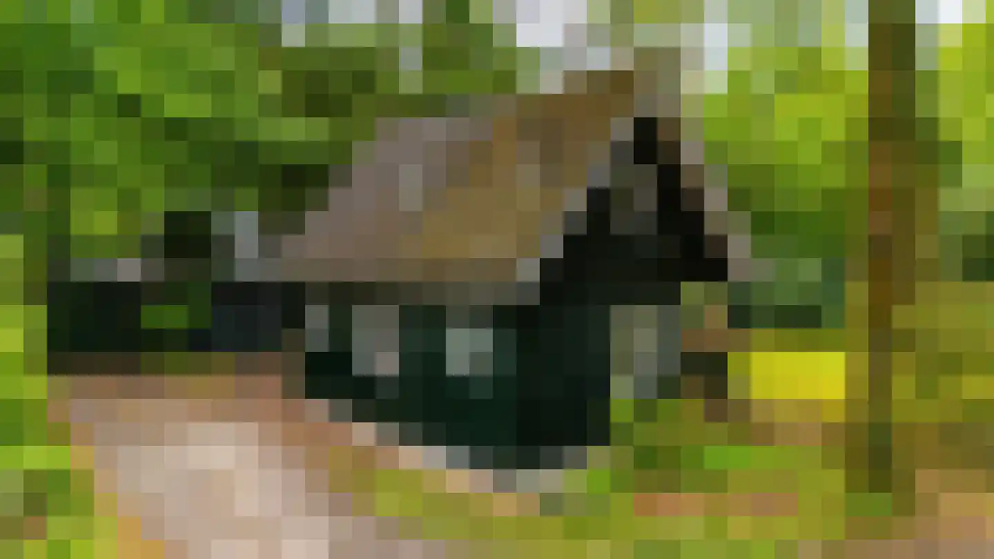 Beukenlaan 4 Norg thumbnail 38