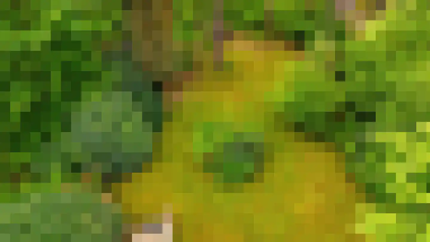 Beukenlaan 4 Norg thumbnail 39