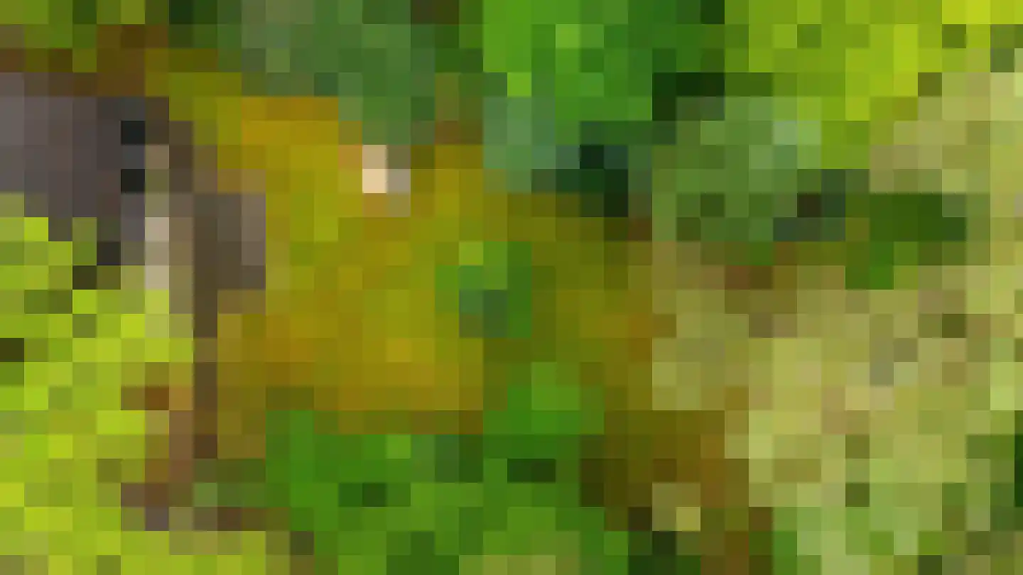 Beukenlaan 4 Norg thumbnail 40