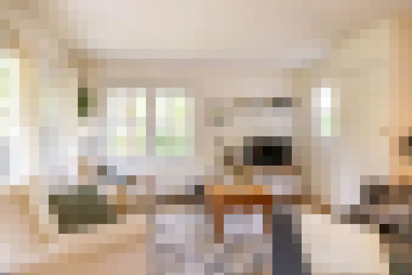 Beukenlaan 4 Norg thumbnail 8