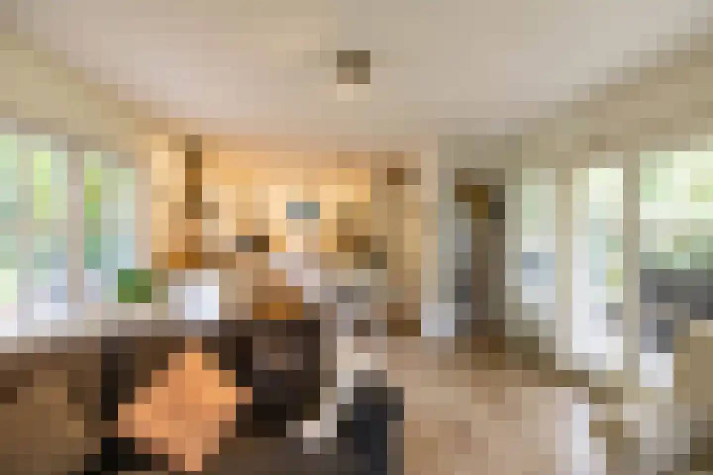 Beukenlaan 4 Norg thumbnail 9