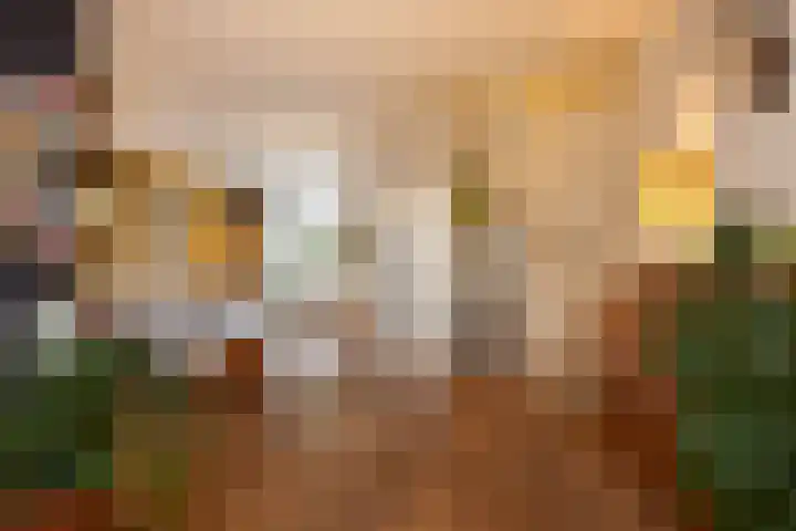 Beukenlaan 4 Waalwijk thumbnail 13