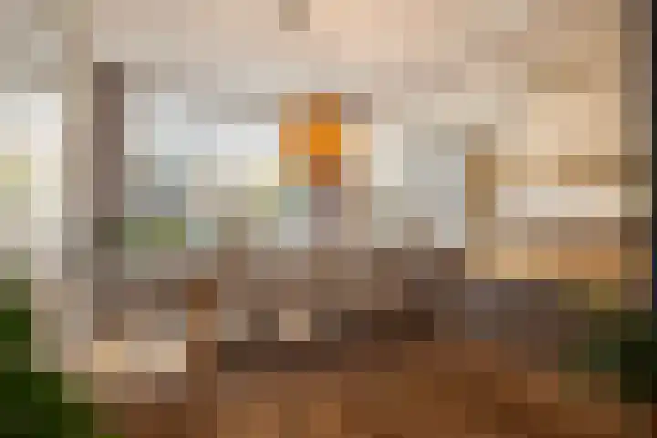 Beukenlaan 4 Waalwijk thumbnail 14