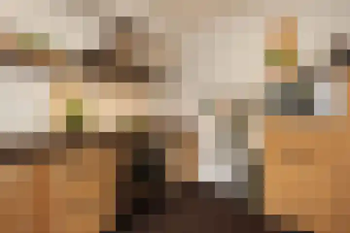 Beukenlaan 4 Waalwijk thumbnail 18