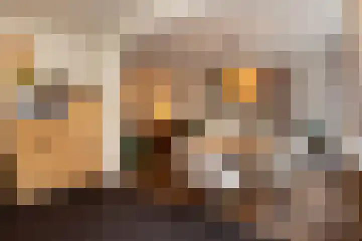 Beukenlaan 4 Waalwijk thumbnail 19