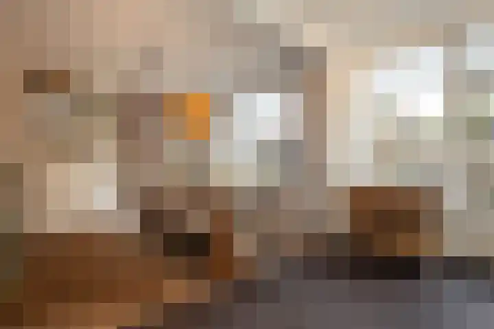 Beukenlaan 4 Waalwijk thumbnail 20