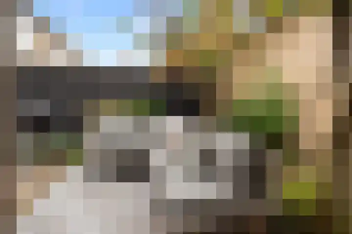 Beukenlaan 4 Waalwijk thumbnail 22