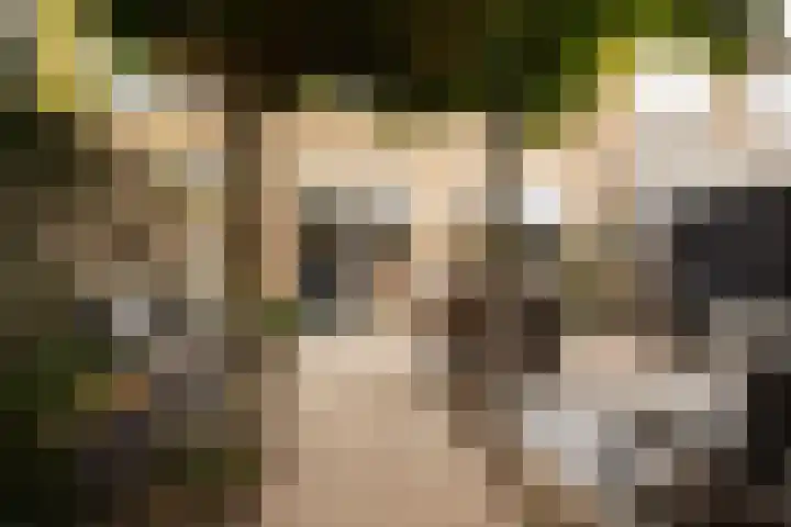 Beukenlaan 4 Waalwijk thumbnail 23