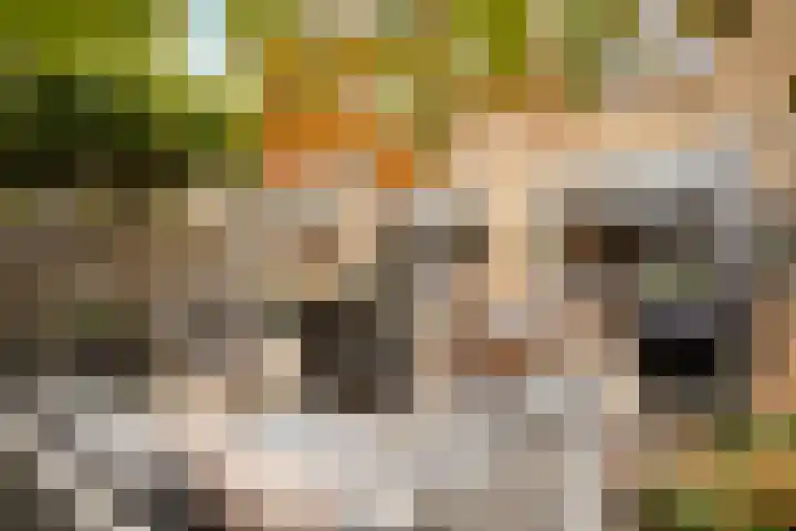 Beukenlaan 4 Waalwijk thumbnail 24
