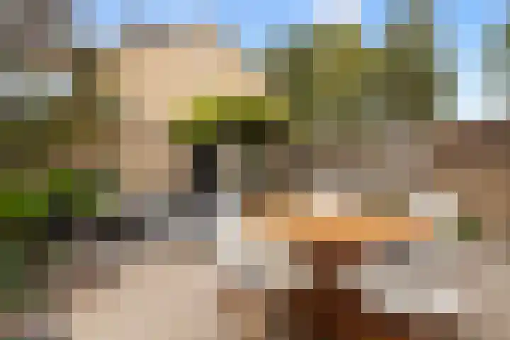Beukenlaan 4 Waalwijk thumbnail 25