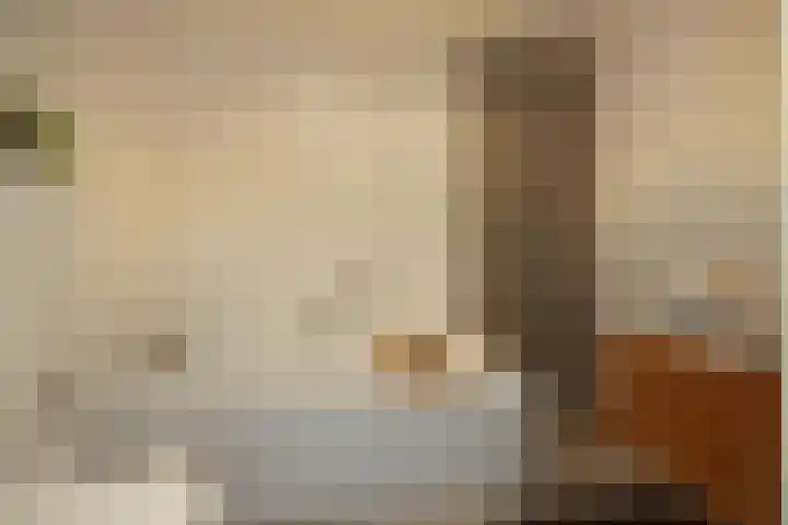 Beukenlaan 4 Waalwijk thumbnail 31