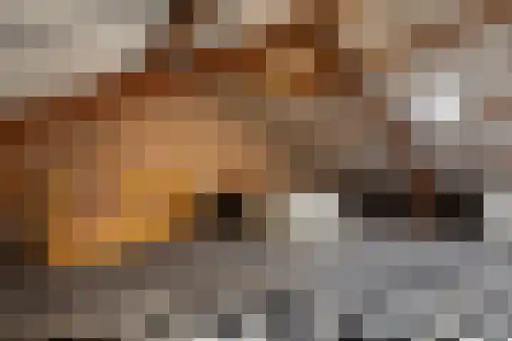 Beukenlaan 4 Waalwijk thumbnail 33