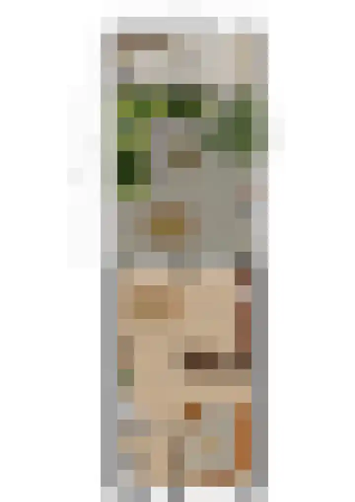 Beukenlaan 4 Waalwijk thumbnail 38