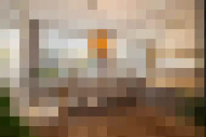 Beukenlaan 4 Waalwijk thumbnail 5