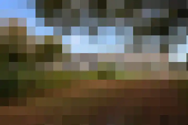 Beukenlaan 4 Waalwijk thumbnail 7