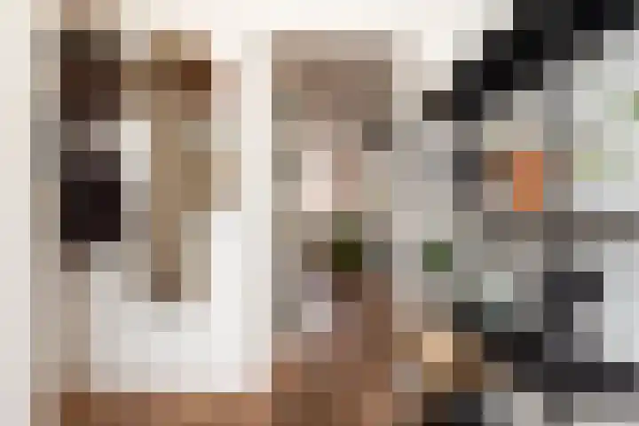 Beukenlaan 4 Waalwijk thumbnail 9