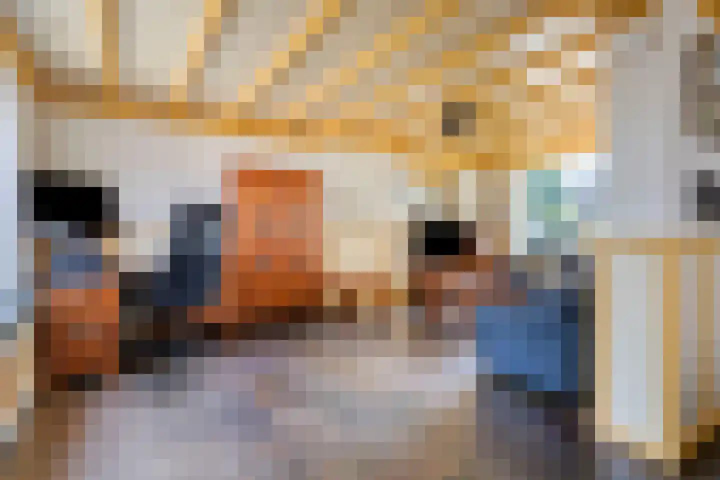Beukenlaan 40 Odiliapeel thumbnail 10