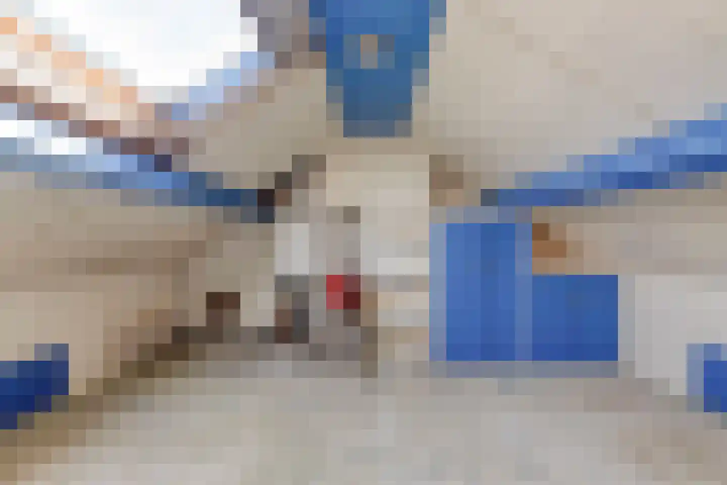 Beukenlaan 40 Odiliapeel thumbnail 30