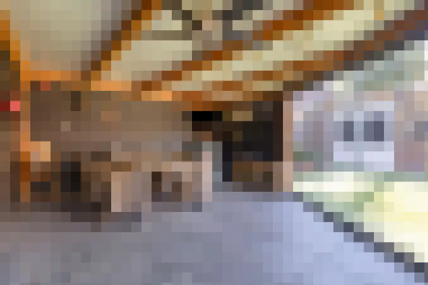 Beukenlaan 40 Odiliapeel thumbnail 37